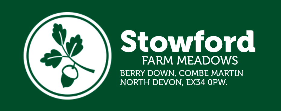 stowford-farm-meadows